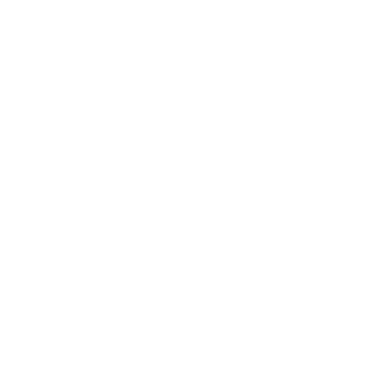 Cardiff Institute